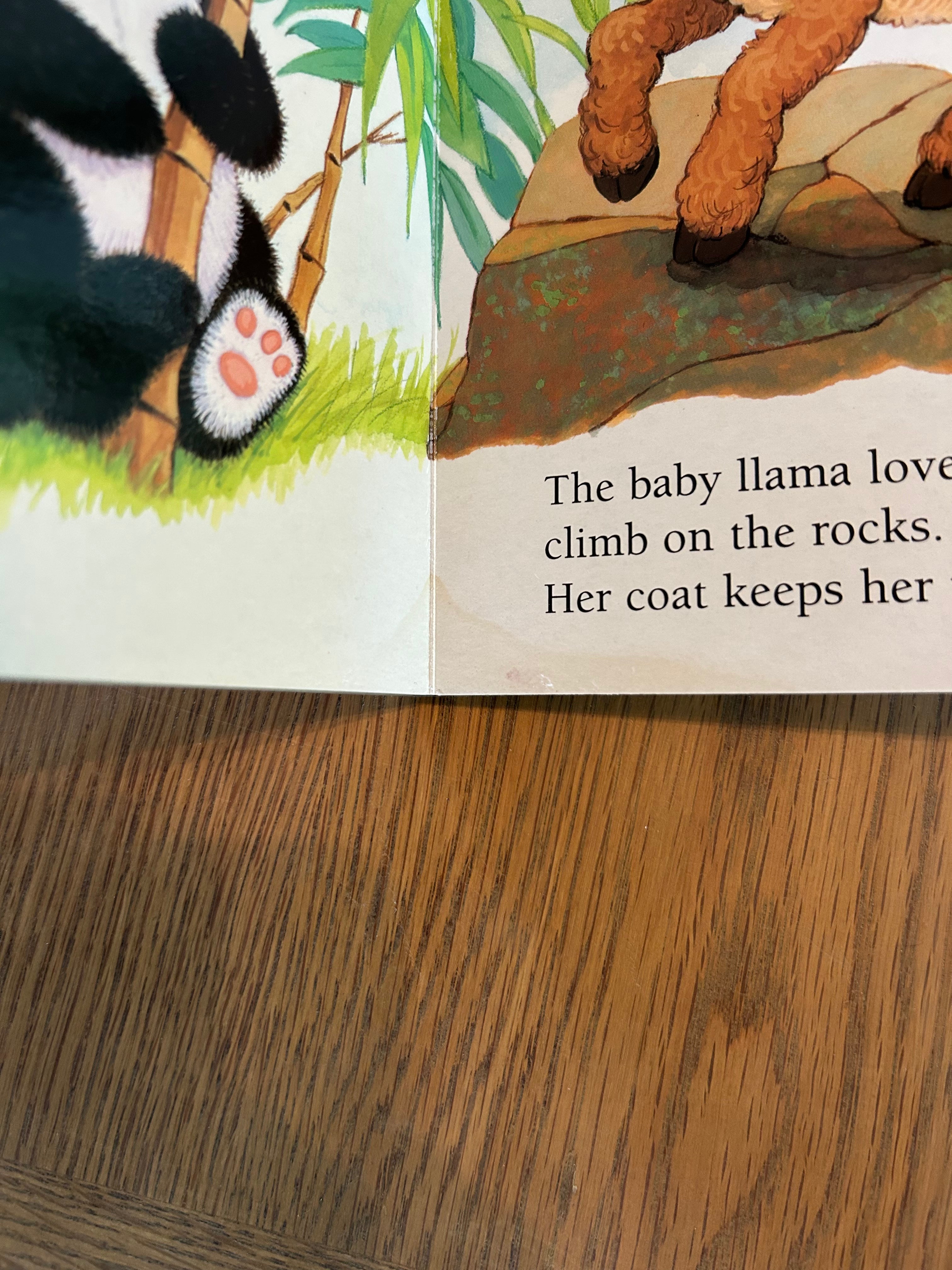 Zoo Babies Board Book