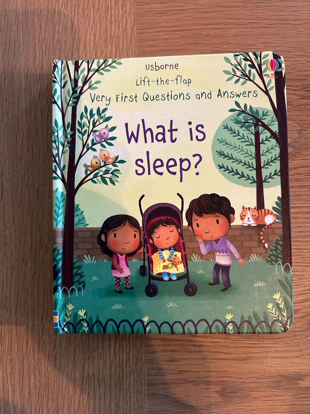 What Is Sleep? Lift-The-Flap Questions and Answers Board Book- Usborne