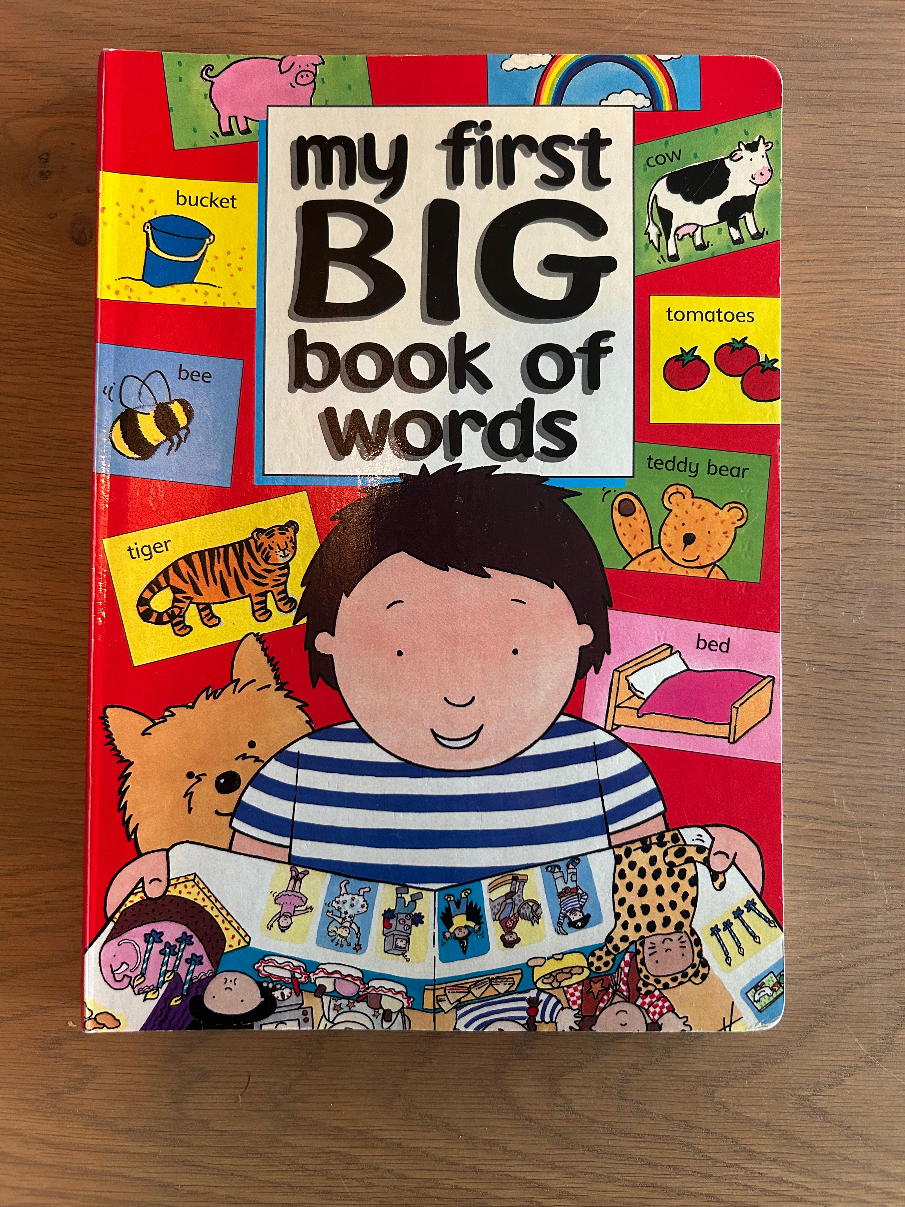 My First Big Book of Words Board Book