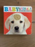 Baby Animals Touch and Feel Board Book
